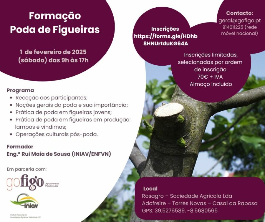 Formação de poda em Figueiras